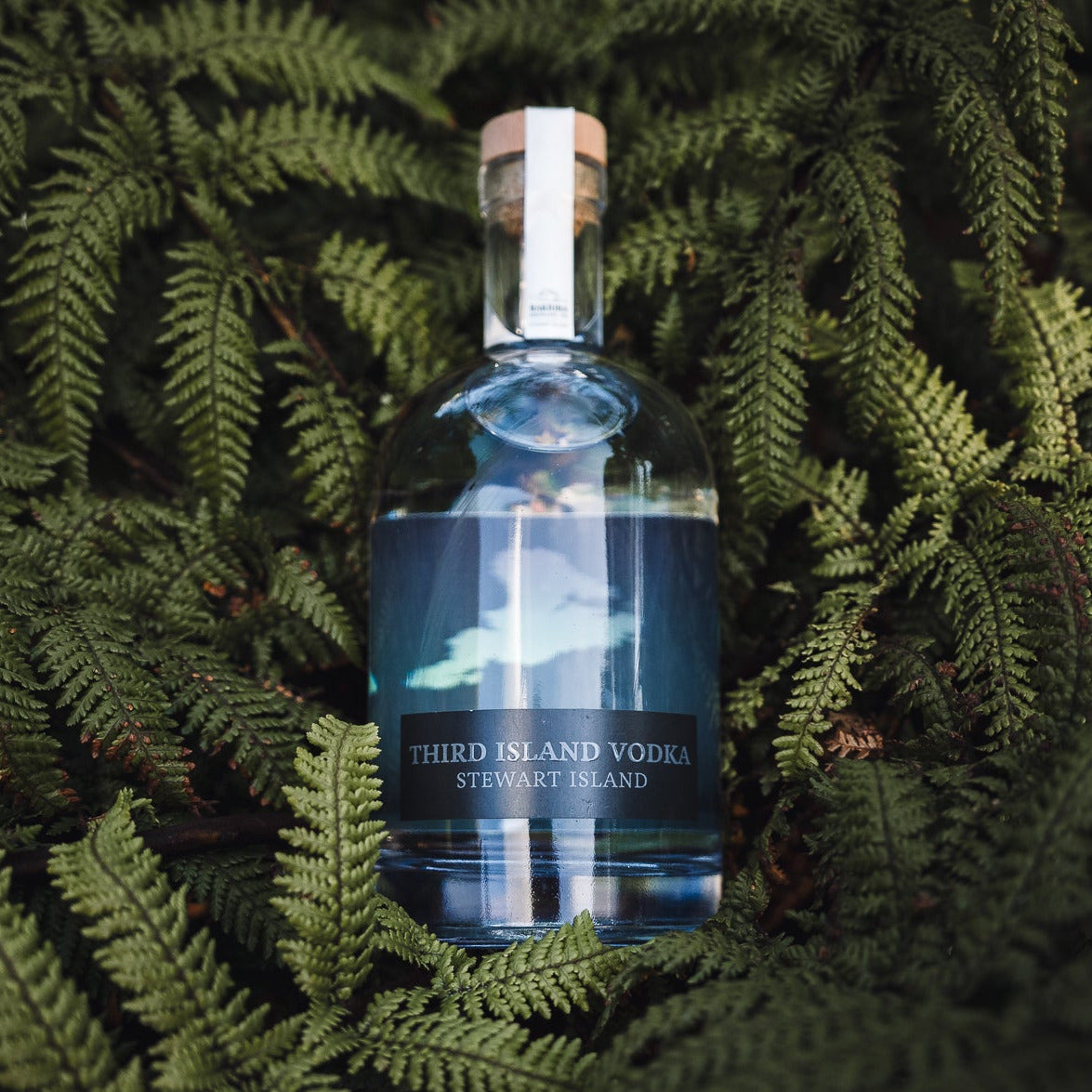 Bottle of Third Island Vodka on a bed of green ferns